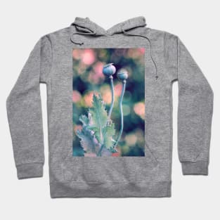 Natural Conclusion Hoodie